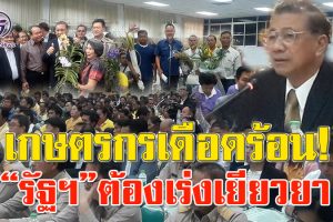 เกษตรกรบี้!! คณะกรรมาธิการแก้ปัญหาพืชผล”ข้าวโพด-มันสำปะหลัง” เร่งชดเชยผลผลิตทางการเกษตรเสียหาย 3.5 ล้านไร่!!(คลิป)