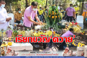 สืบสานประเพณีการสู่ขวัญโค กระบือ ให้พ้นจากโรคร้ายที่ระบาดหนัก!!(คลิกอ่าน)