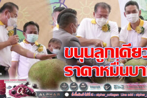 ขนุนลูกละ 10,000 บาท!! โคราชเปิดเทศกาล “ขนุนโลก”ผู้คนฮือฮาแห่ประมูลแบบไม่ยอมกัน!!(คลิกอ่าน)